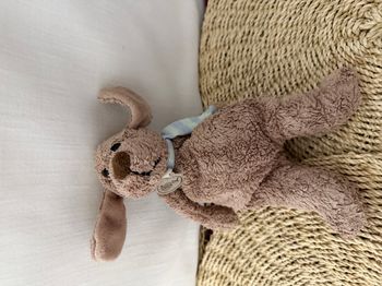 Doudou Chien Babynat Baby Nat' - Collection Nature