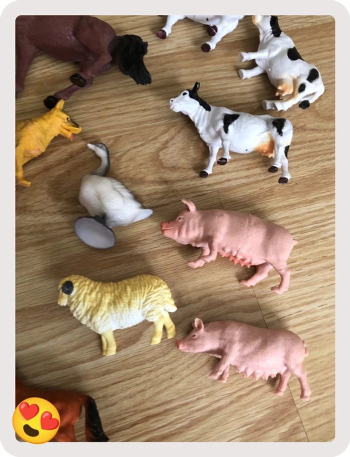 Animaux de la ferme - photo numéro 3