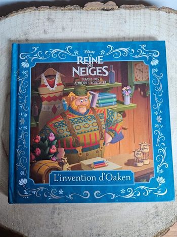 La Reine des Neiges Magie des Aurores Boréales 🌌