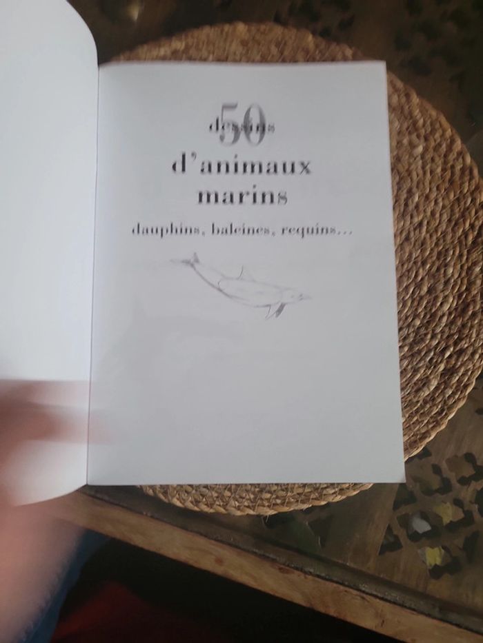 50 dessins d animaux  marins - photo numéro 4