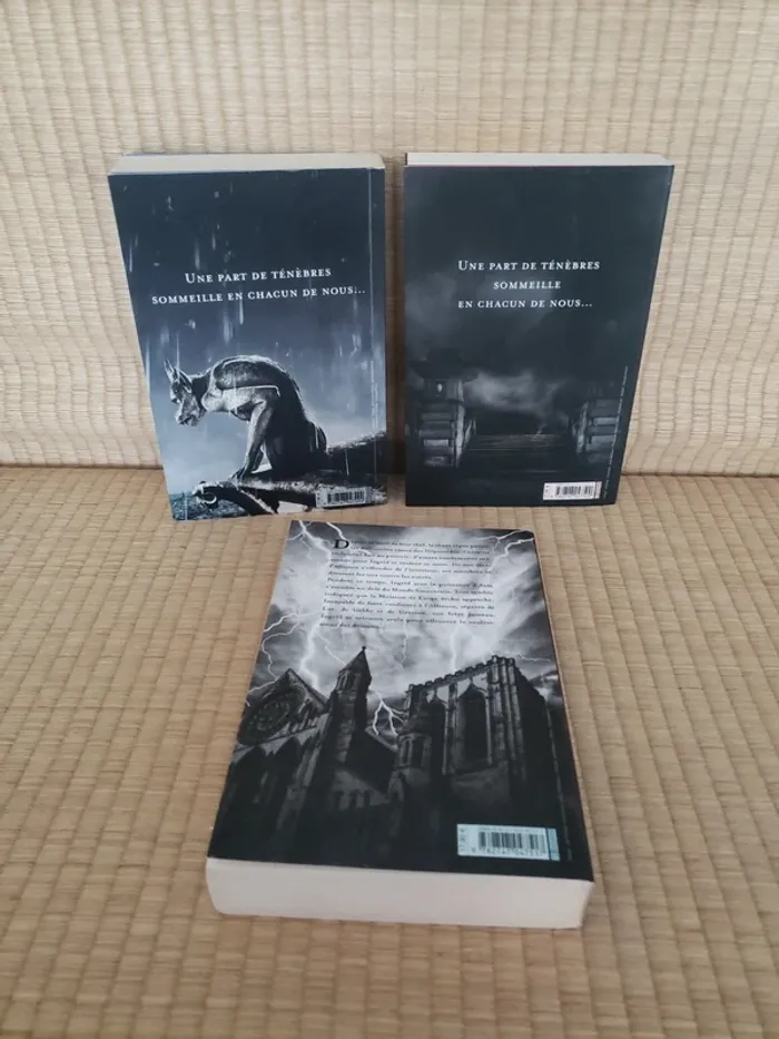 La Belle et le Maudit 3 tomes - photo numéro 3