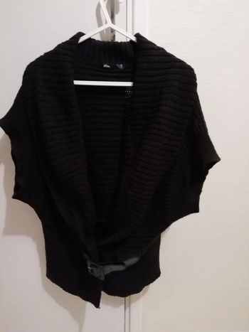 Gilet s'en manche