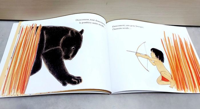 🌺 Livre (école des loisirs) : La panthère noire - photo numéro 2