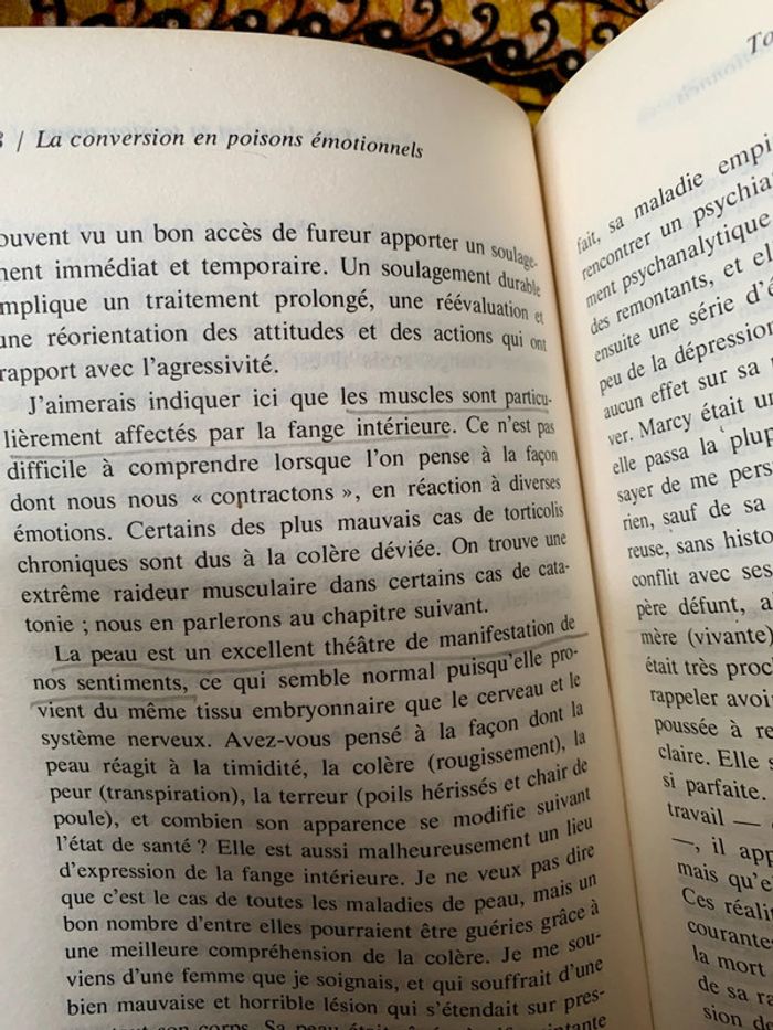 La psychologie de la colère - photo numéro 8