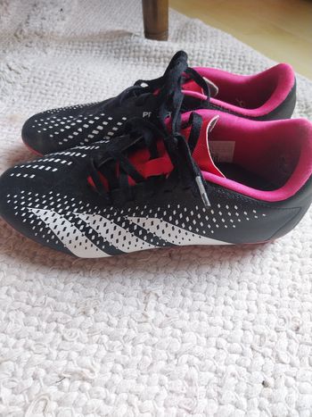 Crampons Adidas