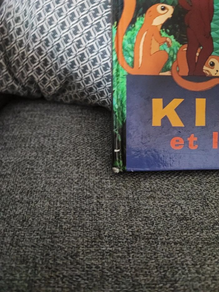 Kirikou et la sorcière - photo numéro 2