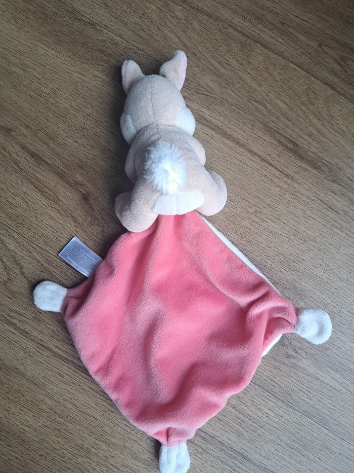 Miss bunny - photo numéro 5