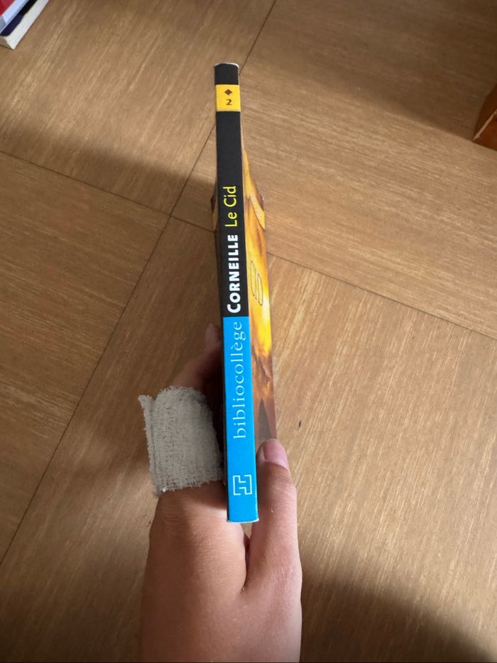 Livre le cid - photo numéro 2