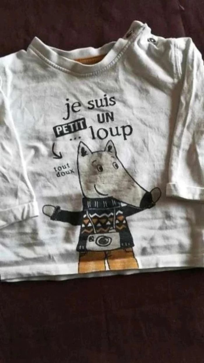 Tee  shirt p'tit loup - photo numéro 2