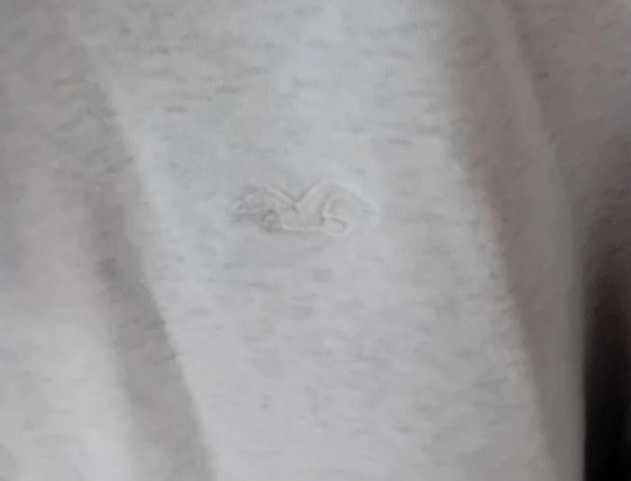 Sweat Hollister à capuche - photo numéro 3
