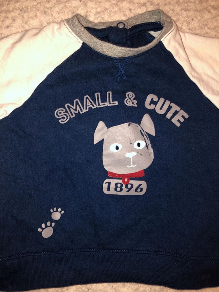 Pull chien taille 6 mois Tex - photo numéro 2