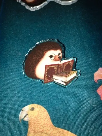 Broche hérisson livre cadeau original association acrylique