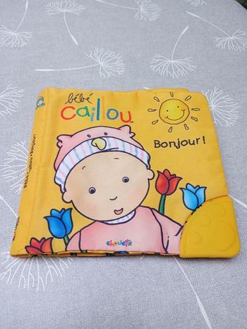 Bébé Caillou Bonjour!