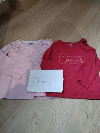 Lot 2 tee shirts ML 18 mois