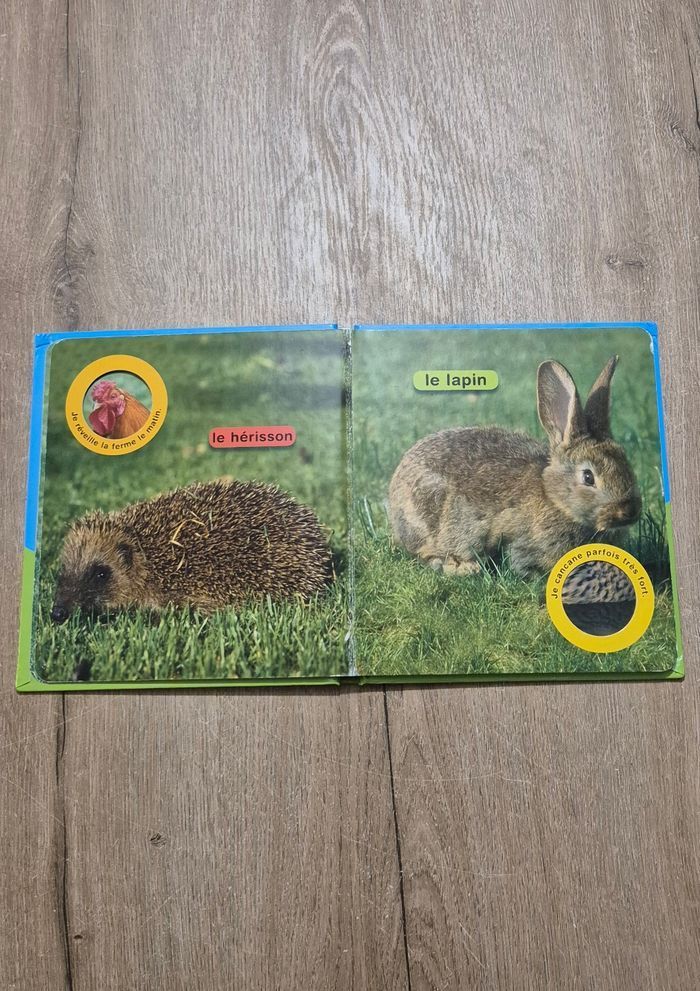 Livre Coucou la poule - photo numéro 4