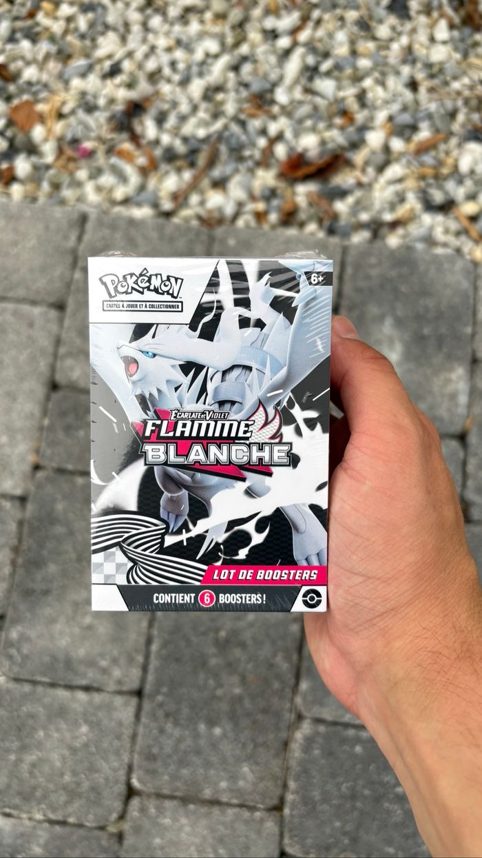Pokémon Bundle EV10.5  Flamme Blanche