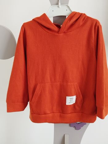 Sweat léger à capuche rouille taille 3 ans