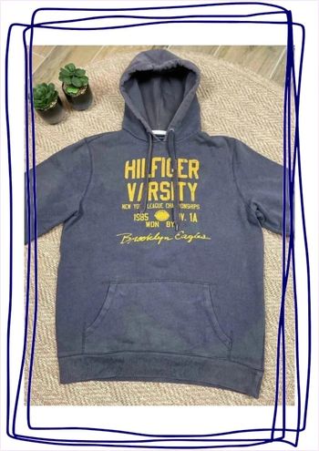 Pull / sweat à capuche Tommy Hilfiger