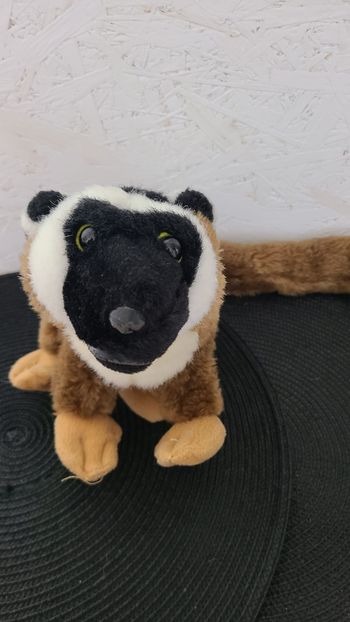 peluche Maki de Mayotte