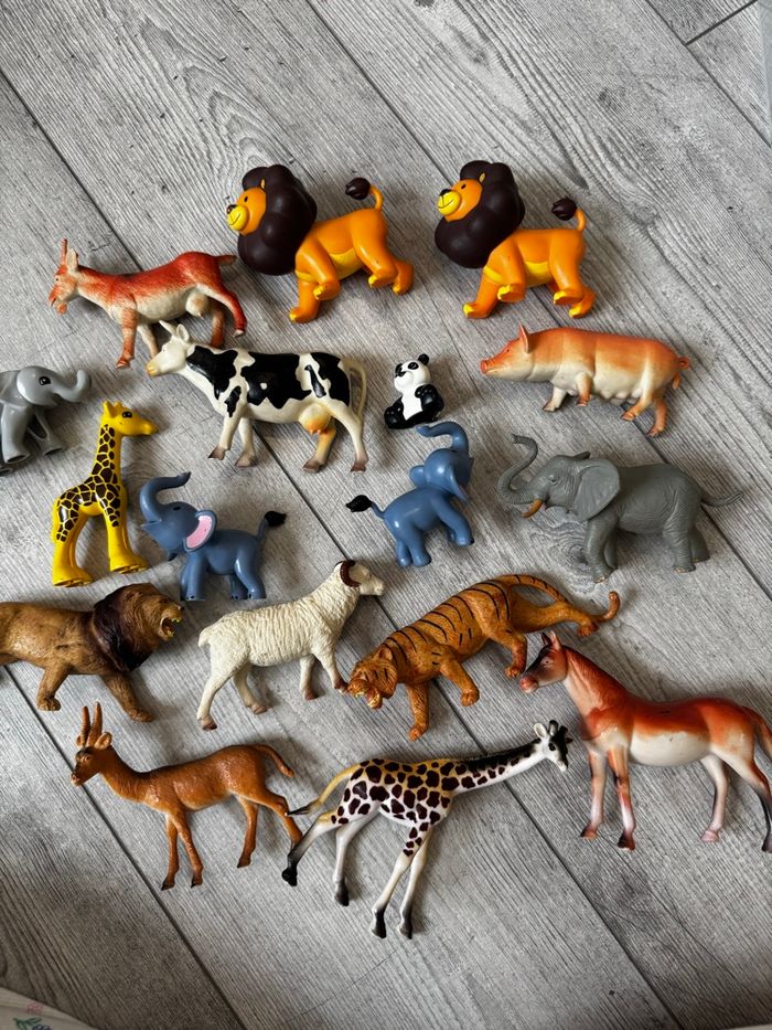 Animaux divers - photo numéro 2