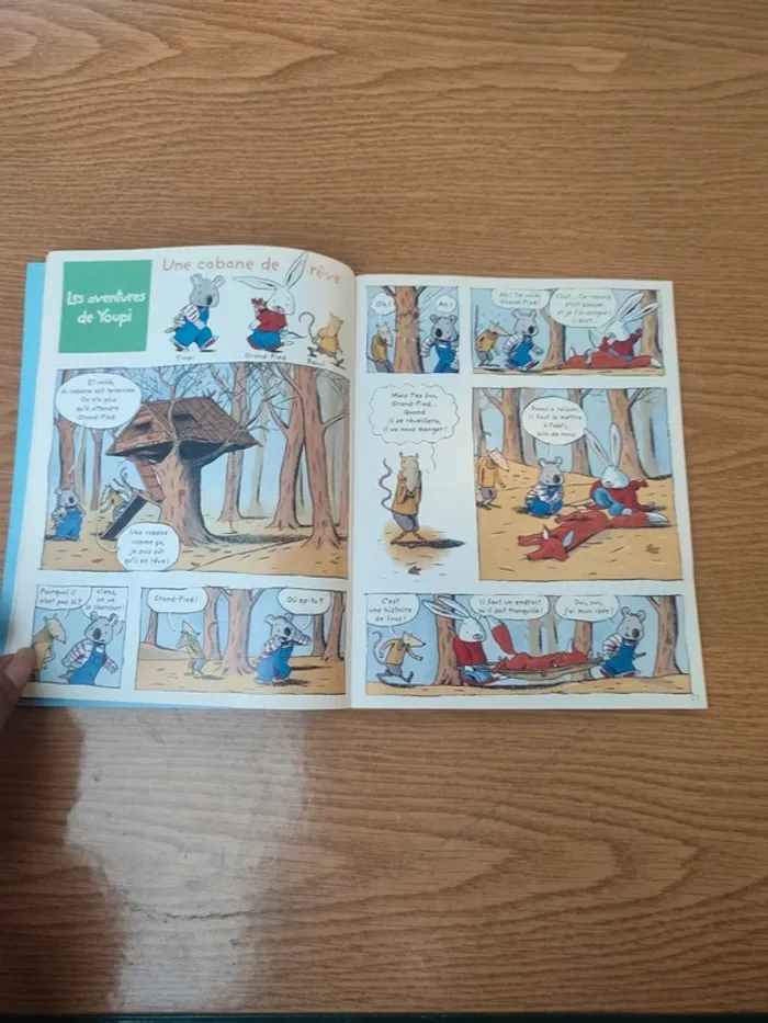 Livre youpi l'attaque du château Fort - photo numéro 16