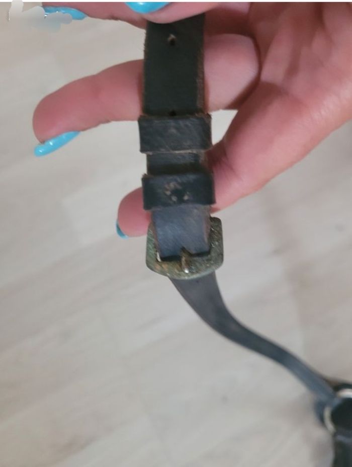 Collier de chasse équitation taille cheval - photo numéro 8
