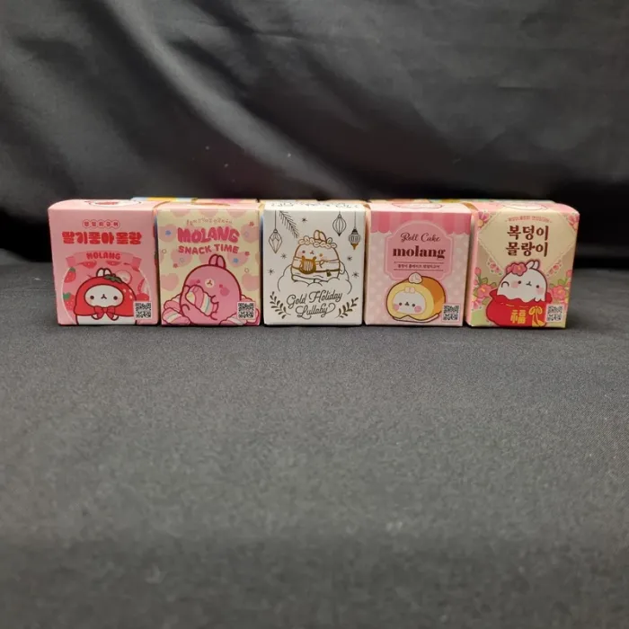Lot de 5 Blind Box Molang de Corée du Sud