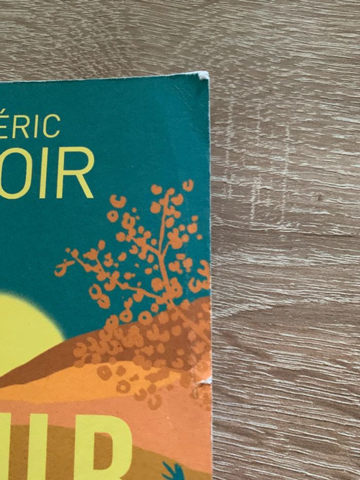 Coeur de cristal - photo numéro 4