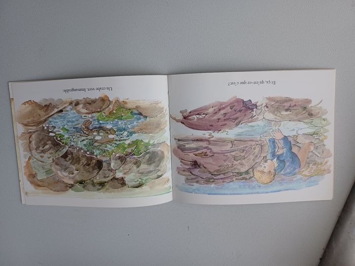 Livre pêche à pied - photo numéro 2