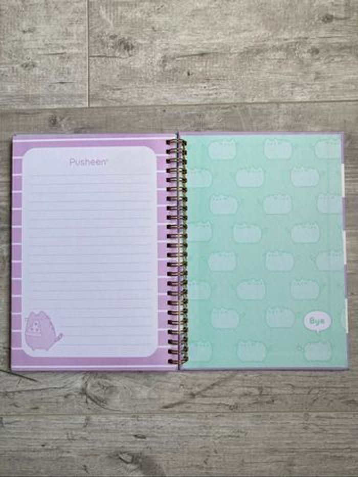 Carnet Pusheen - photo numéro 7