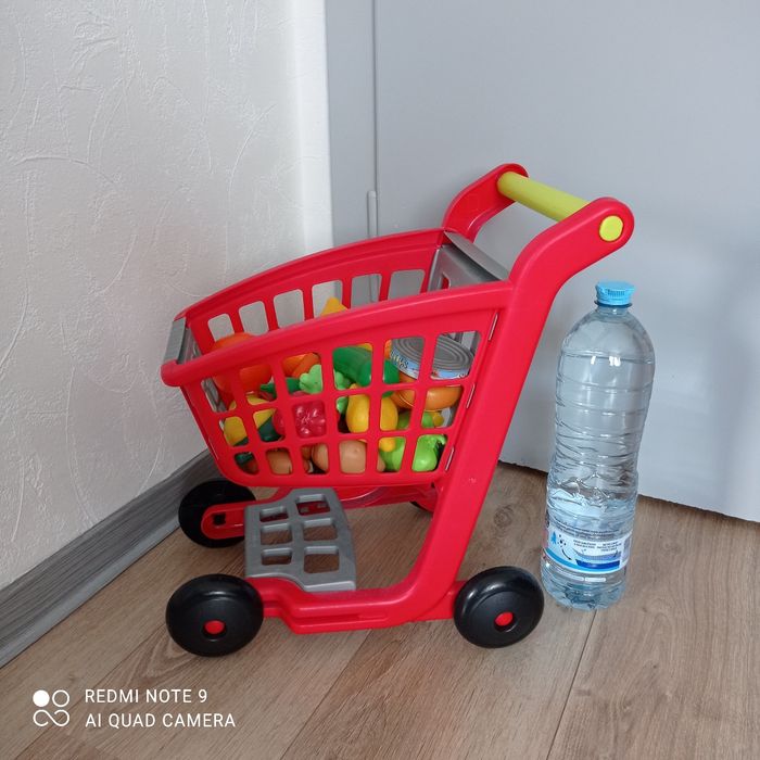 Caddie en plastique - photo numéro 2