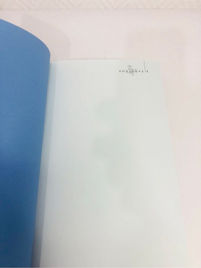 Patrick Demouy Reims : la cathédrale - photo numéro 5