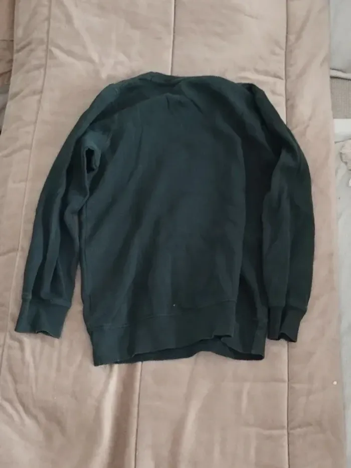 Suite sans capuche la Redoute vert sapin garçon 14 ans - photo numéro 6