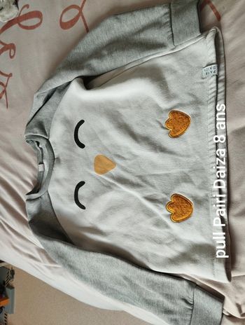 Pull Pairi Daiza 8 ans