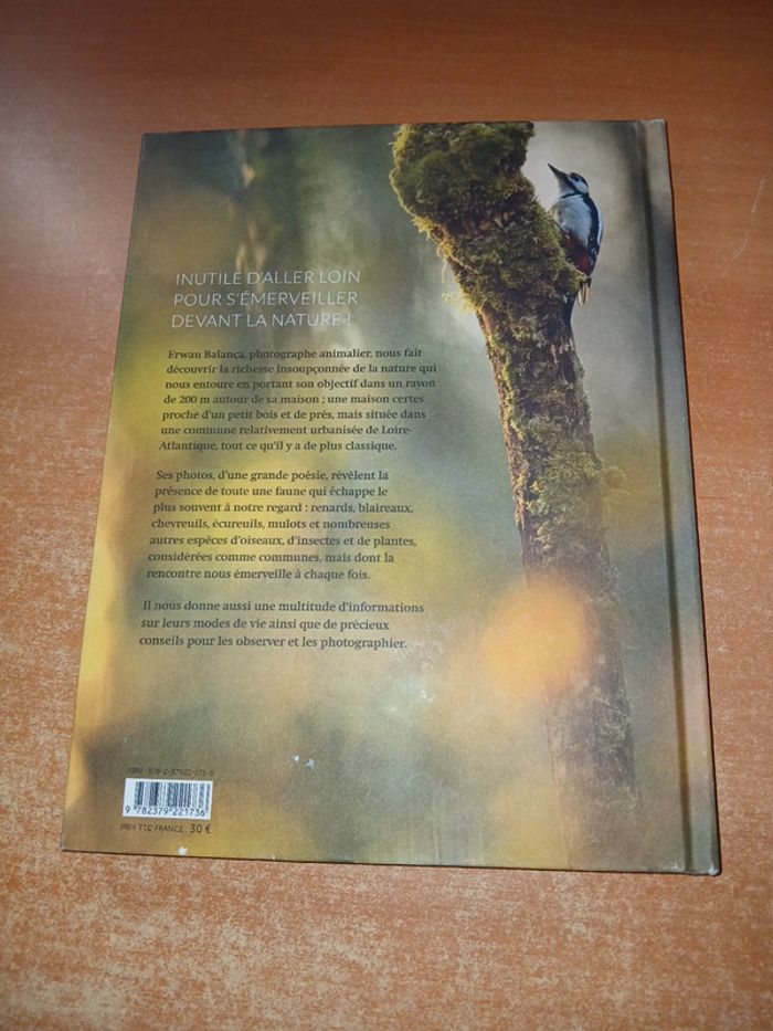 La nature à 200m de chez moi - photo numéro 2