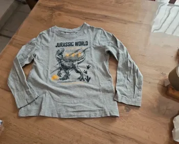 Pull léger garçon jurassic world 5 ans