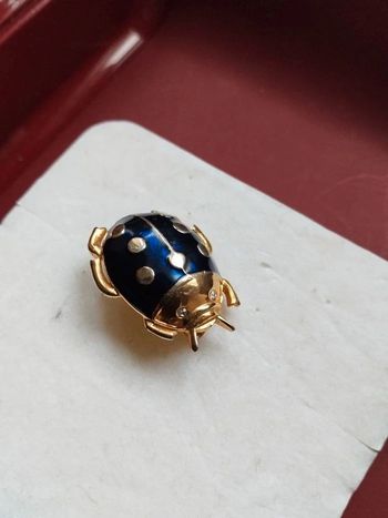 Broche Coccinelle Y.Rocher.