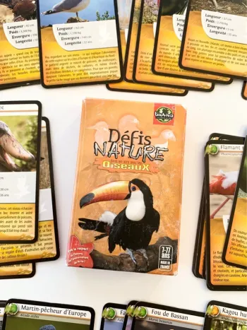 Jeu défis nature - oiseaux