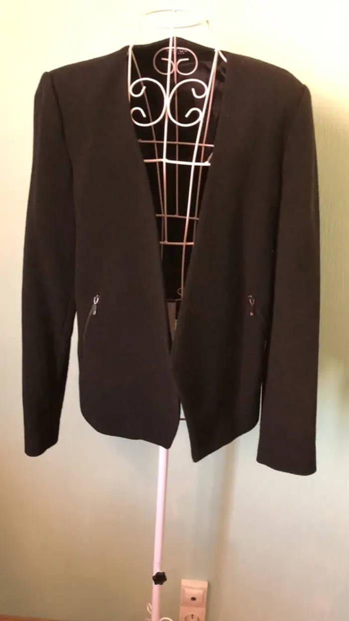 Jolie veste Caroll