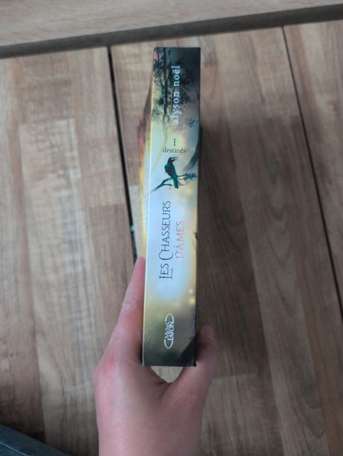 Livre : Les chasseurs d'âmes - photo numéro 3