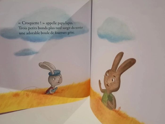 Croquette devient grand frère - photo numéro 3