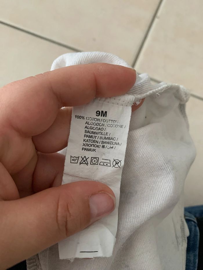 Bodie étoile - photo numéro 3