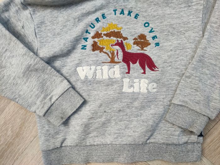 Tenue mi-saison garçon 4 ans sweat tee-shirt et pantalon - photo numéro 3