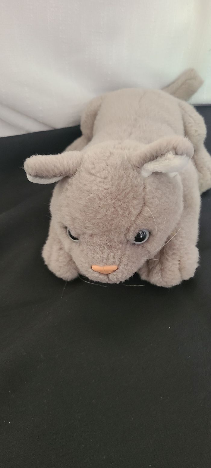 doudou chat poche interieur anna club plush - photo numéro 5