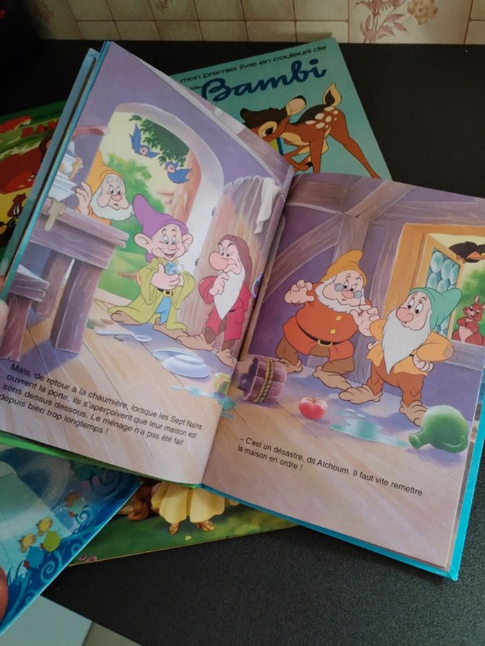Lot livres disney - photo numéro 3