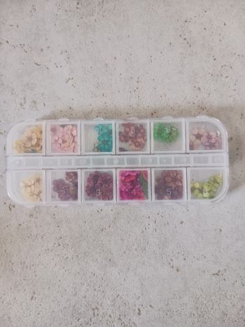 Boîte de 12 casiers fleurs séchées nail art