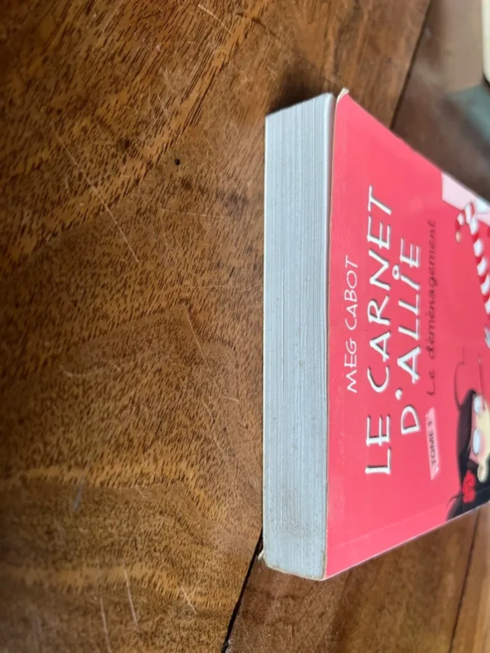 Livre le carnet d’Ali, tome un le déménagement - photo numéro 4