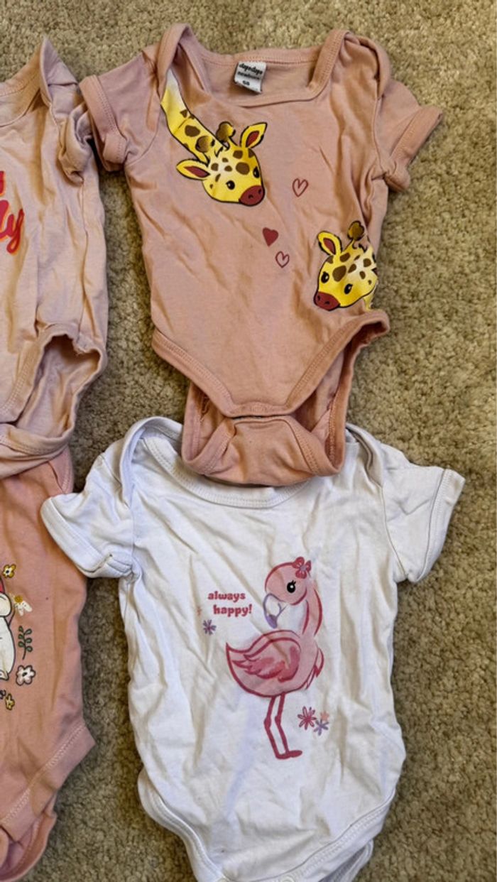 Lot de 5 bodies manches courtes – 1 mois - photo numéro 2