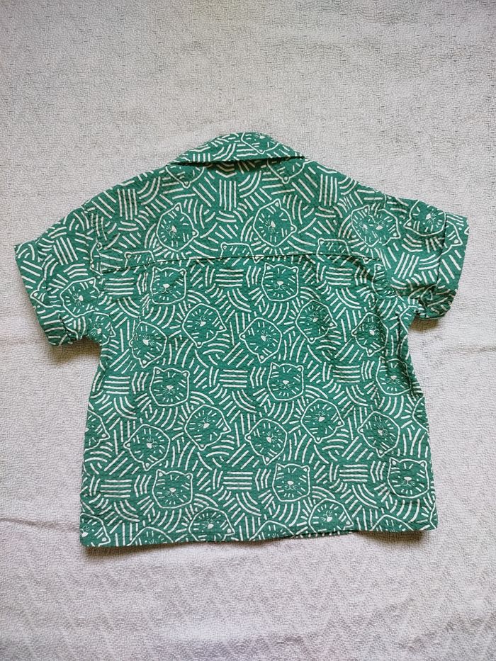 Chemisette chat - photo numéro 2