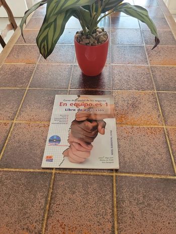 Curso de espanol de los negocios